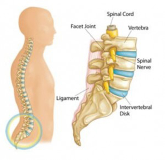 Omurga Kayması Belirtileri ve Tedavisi